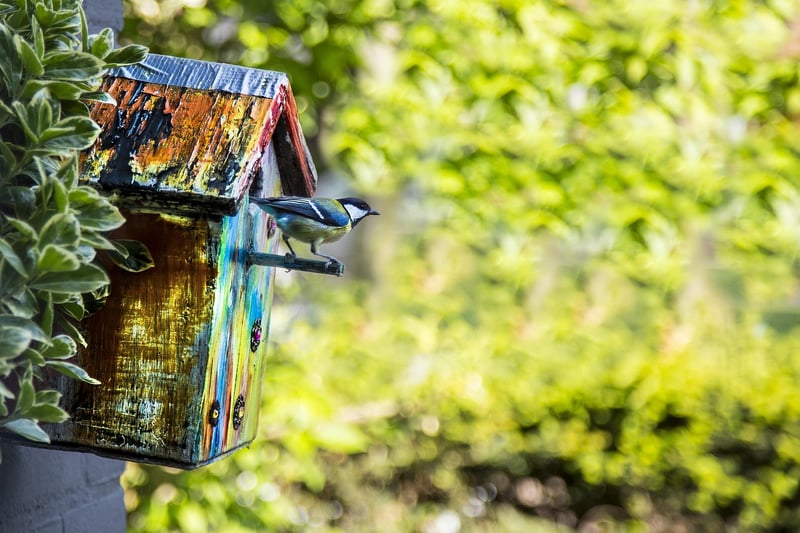 DIY Birdhouses